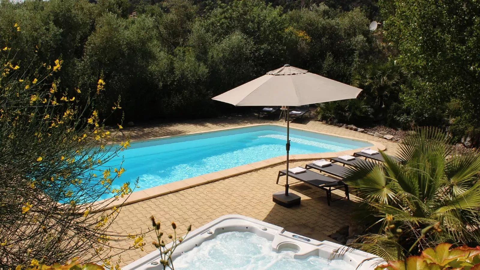Le Jardin des Olives-Aussicht Sommer