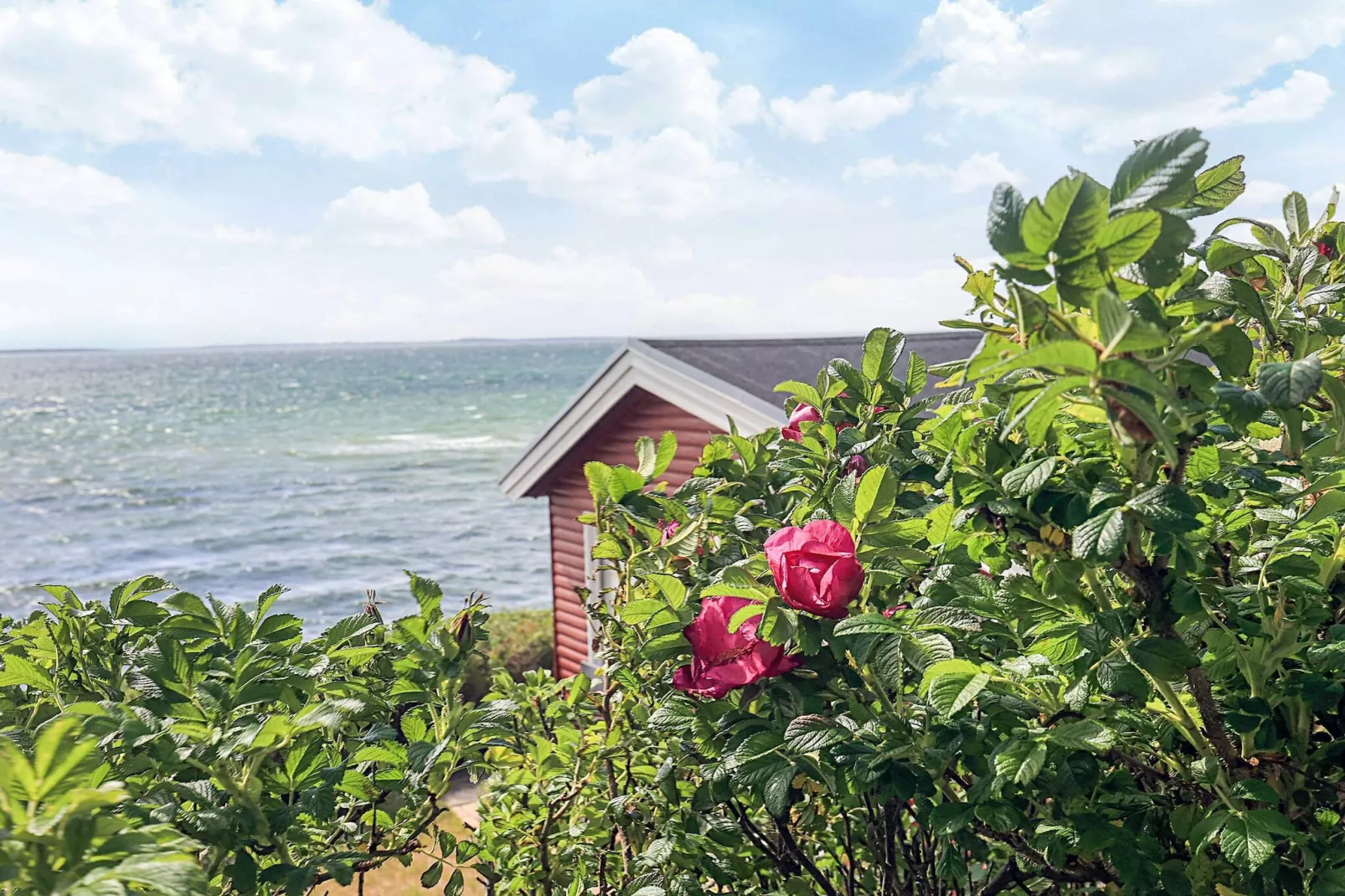 4 Personen Ferienhaus in Martofte - Wasserblick
