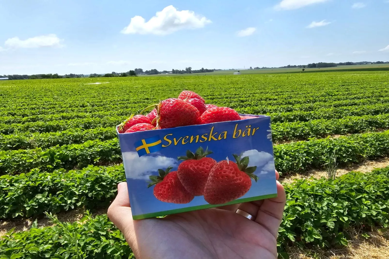 Lägenhet med 2 sovrum-Im Freien