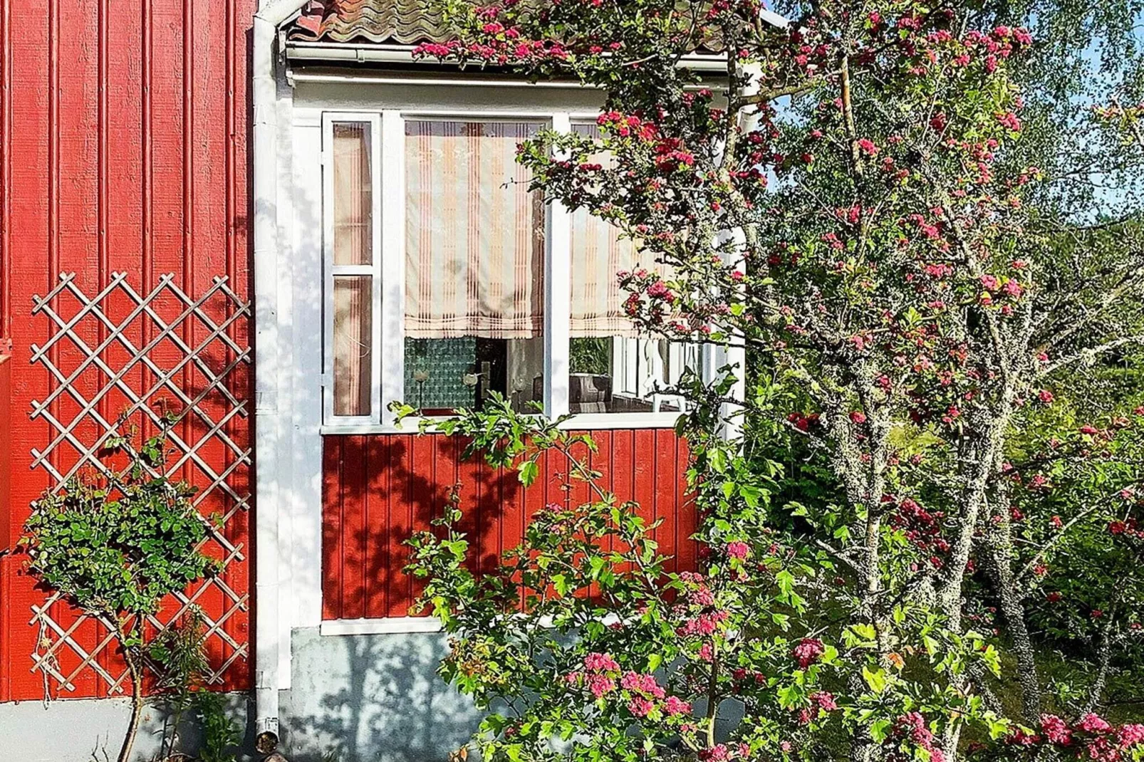 7 person holiday home in BRUZAHOLM-By Traum-Outdoor