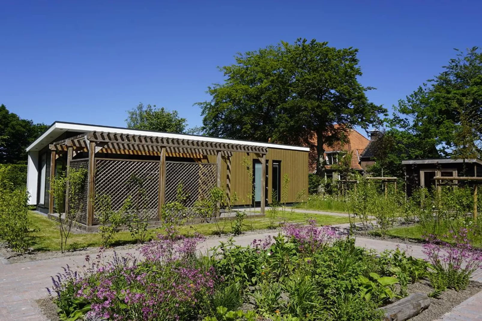 Op'e Pleats 2-Exterior in summer