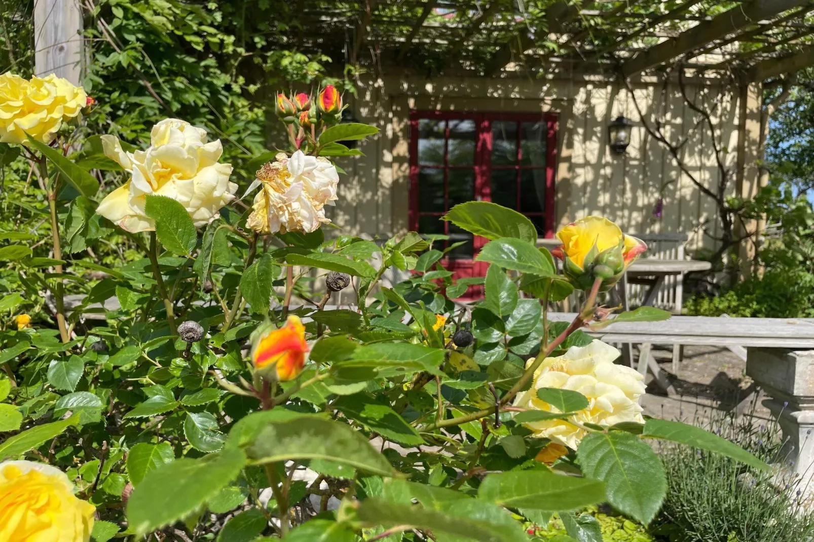 4 Sterne Ferienhaus in Fågelmara-Im Freien