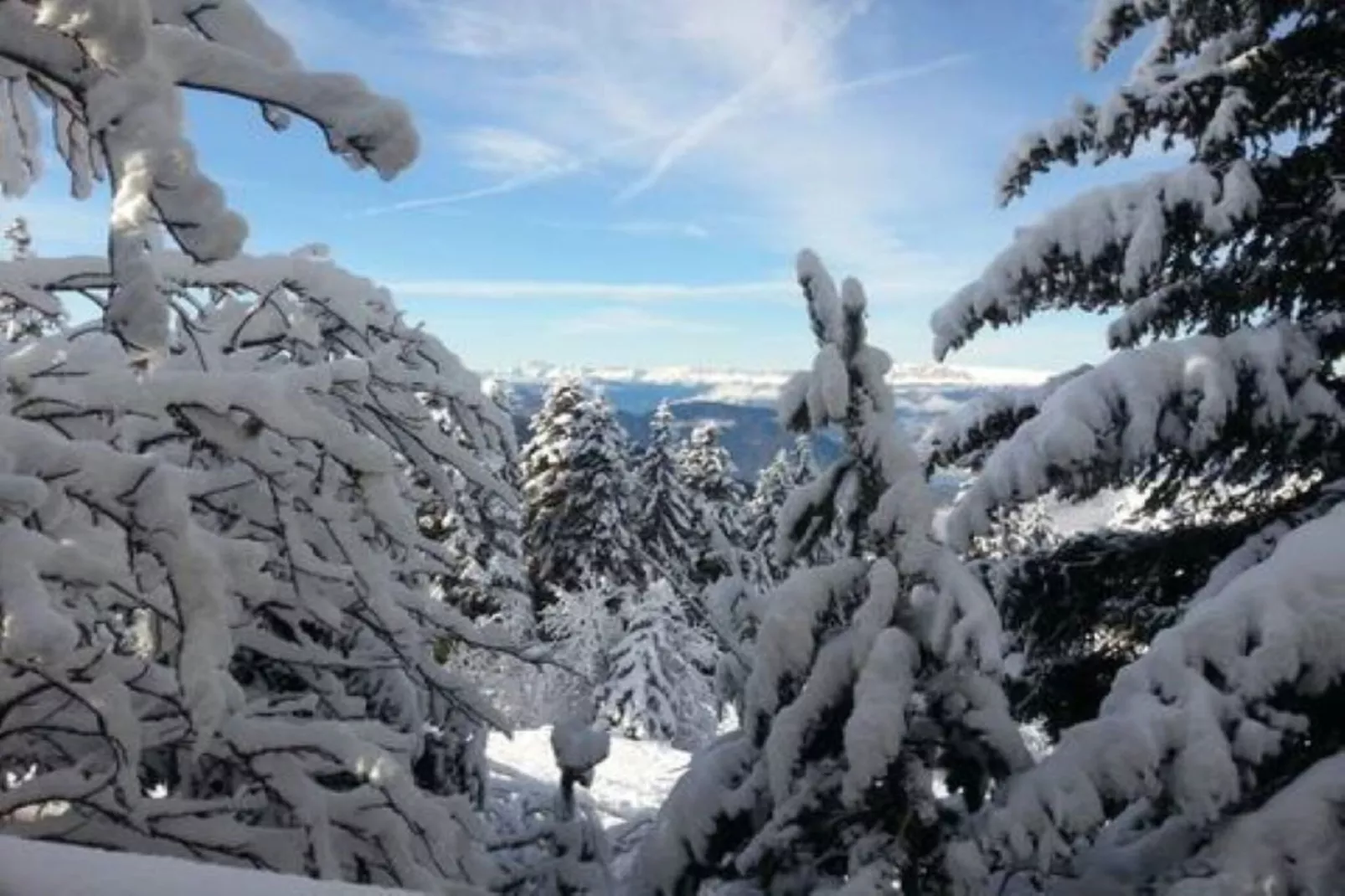 Chalet des lupins - Chalet 1P2-Im Freien