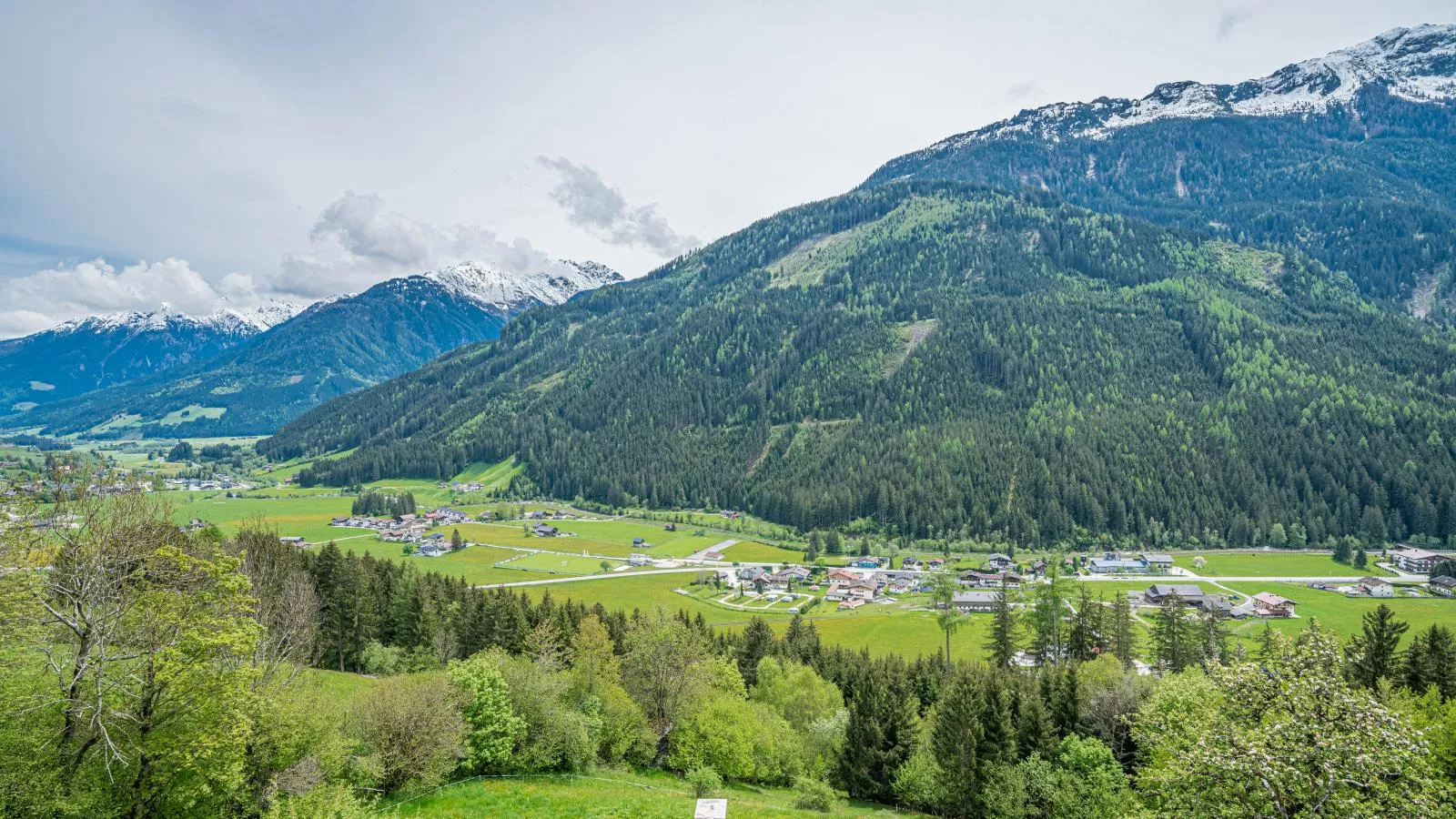 Poschen-View summer