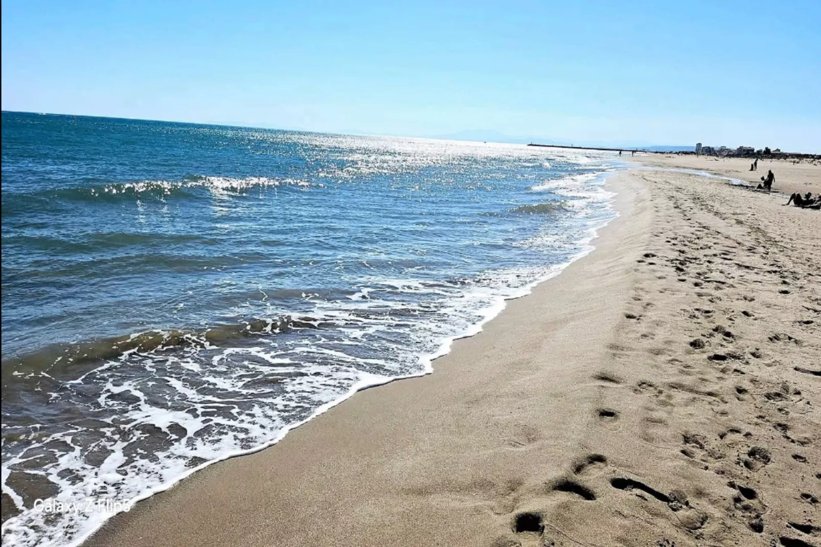 LOU 161 LOPES-Areas within 5km in summer