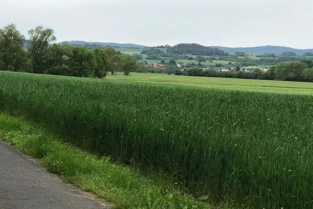 273974-Nicht zugeordnet