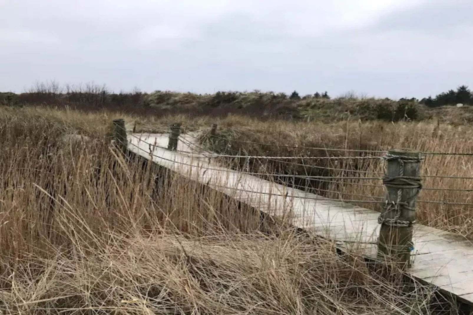 Kustliche Ruhe am Knasborg Strand-By Traum-Nicht zugeordnet