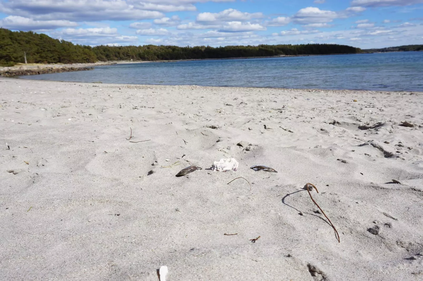 Peaceful Coastal Getaway on Oddo-Untagged