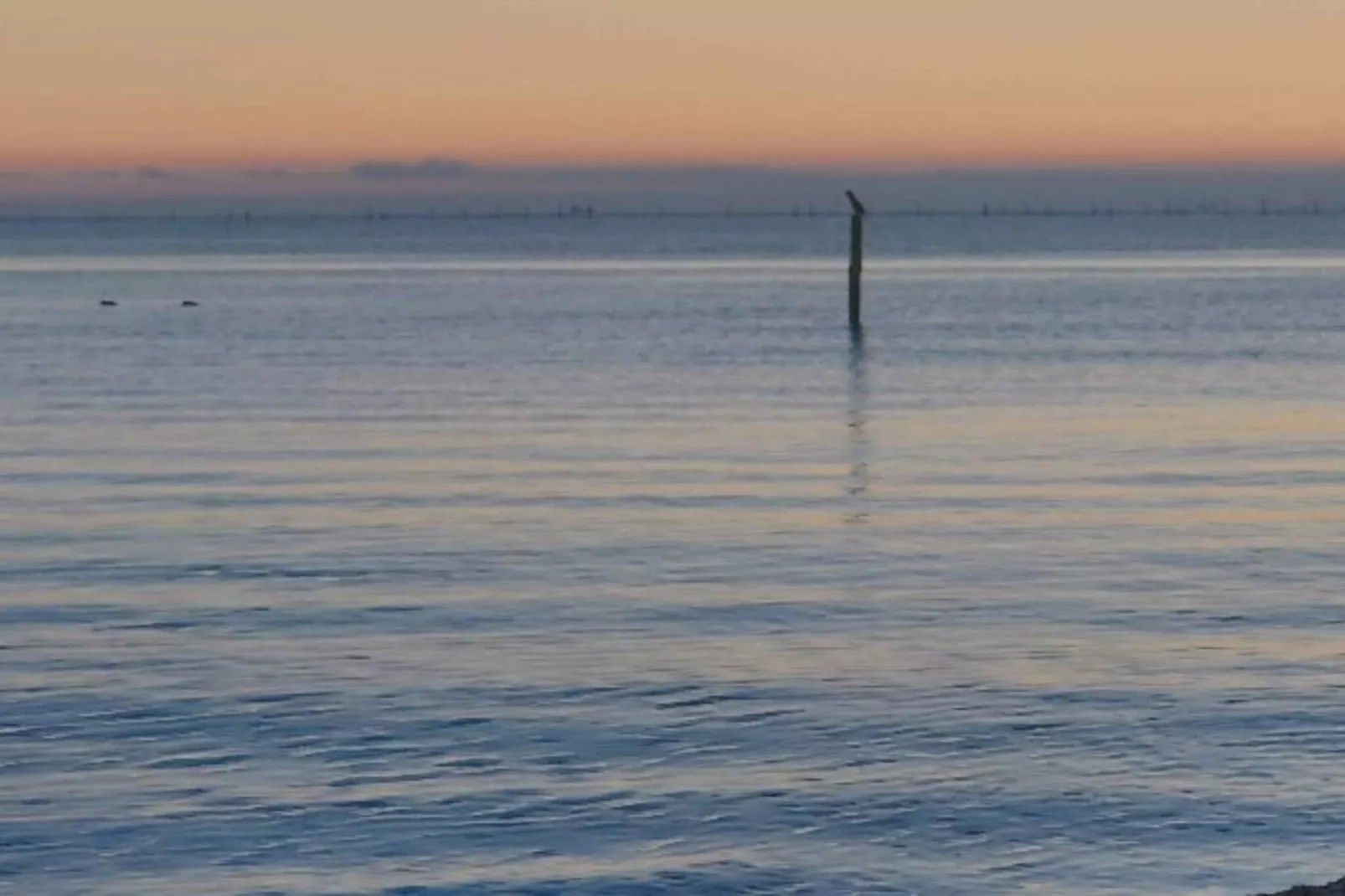 Seaside Serenity in Faldsled-By Traum-Outdoor
