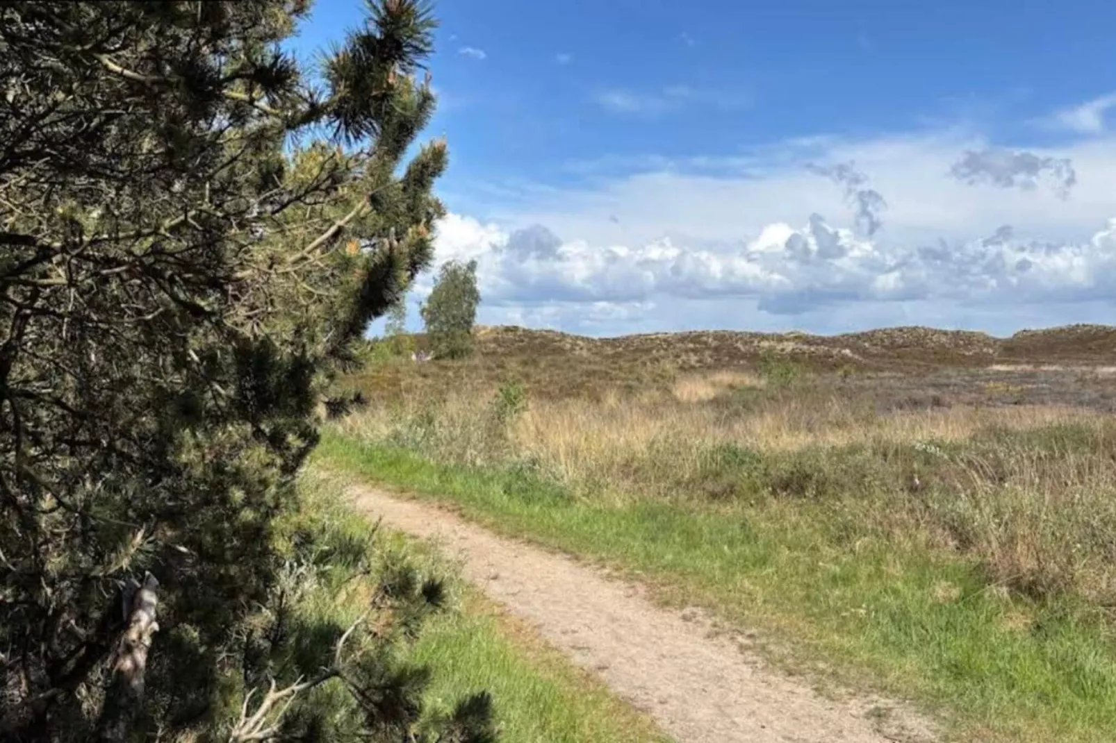 6 person holiday home in Rømø-By Traum-Untagged