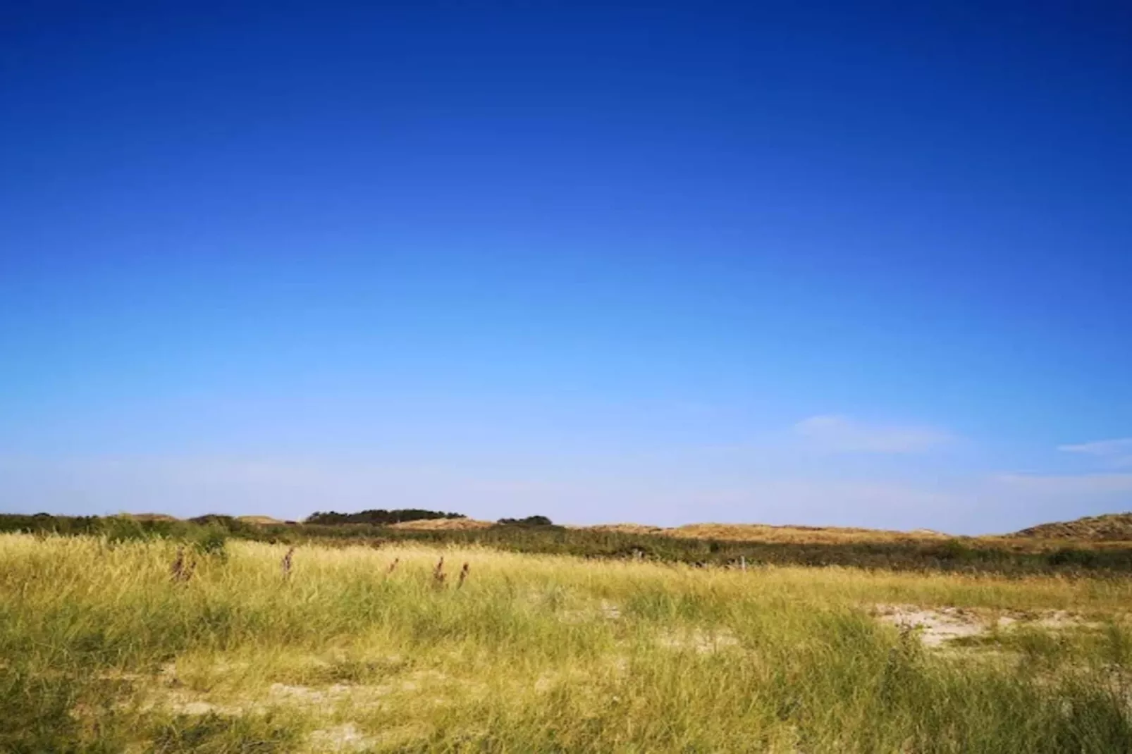 4 Personen Ferienhaus in Fanø-By Traum-Nicht zugeordnet