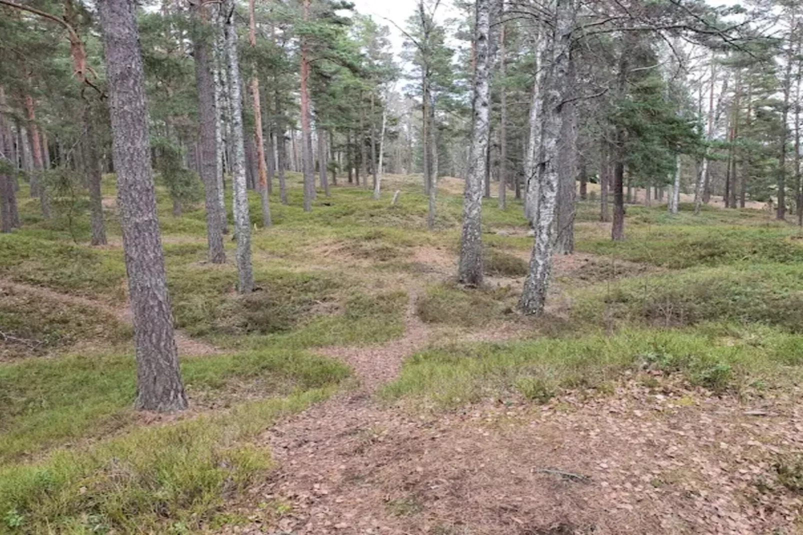 4 Personen Ferienhaus in INGARÖ-By Traum-Nicht zugeordnet