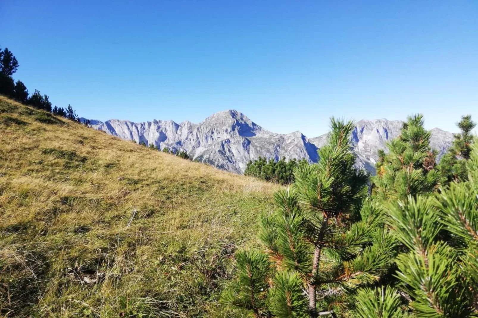 Oberkranzhof-Zones été à 20 km