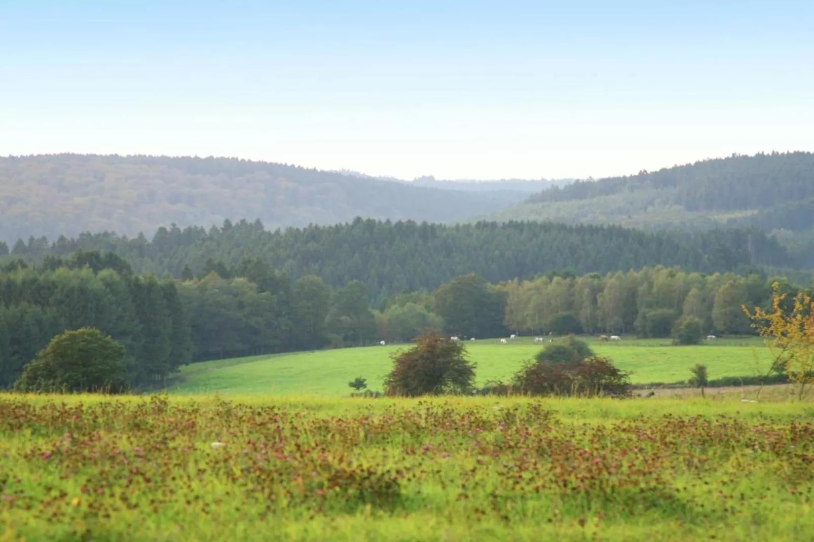 La Ferme de Foy 24-Areas within 5km in summer