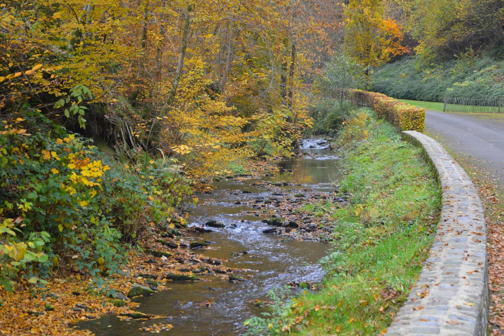 Le Vieux Moulin 22-Zones été à 1 km