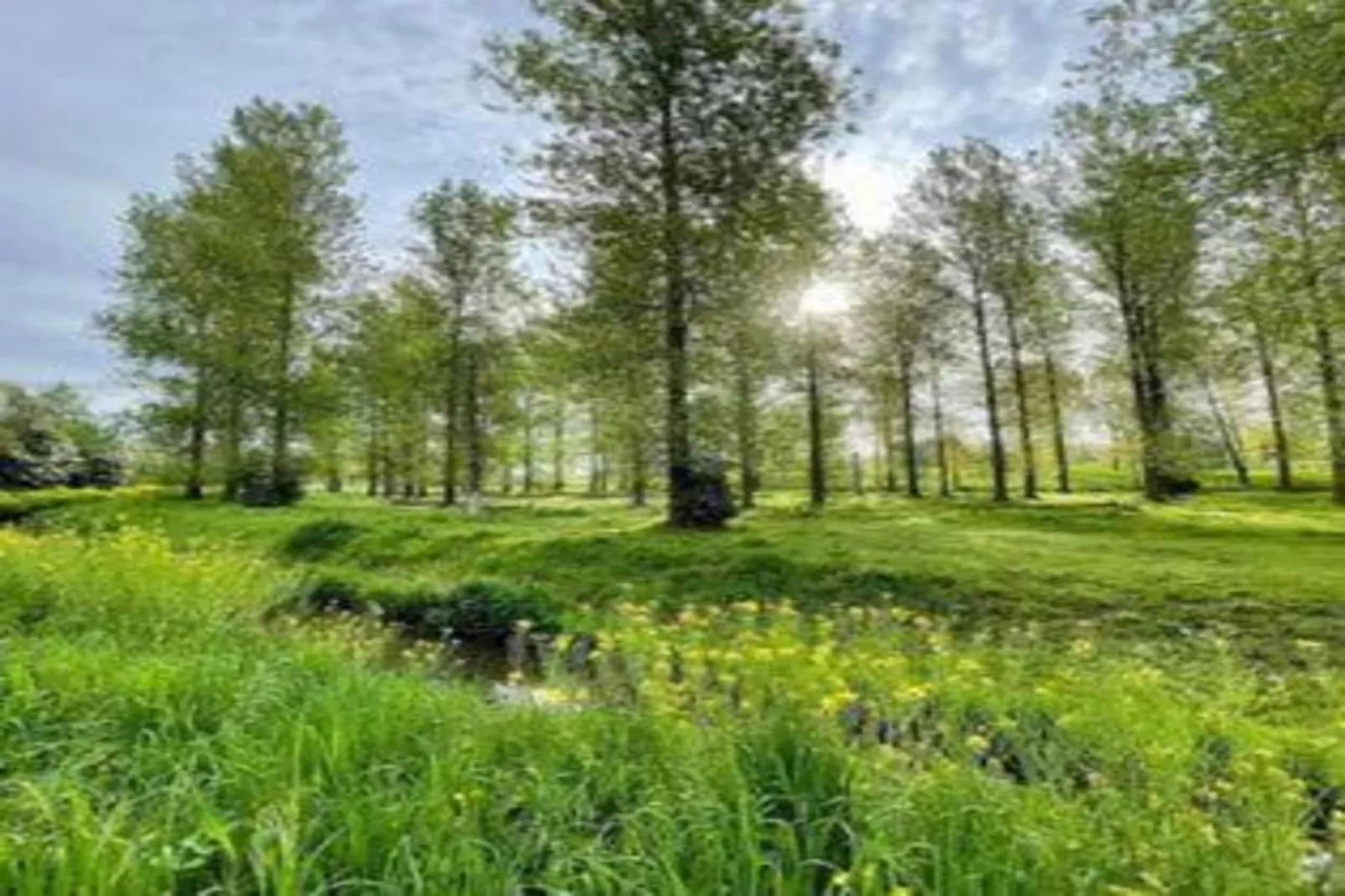 Het Bloesemklooster-Areas within 20km in summer