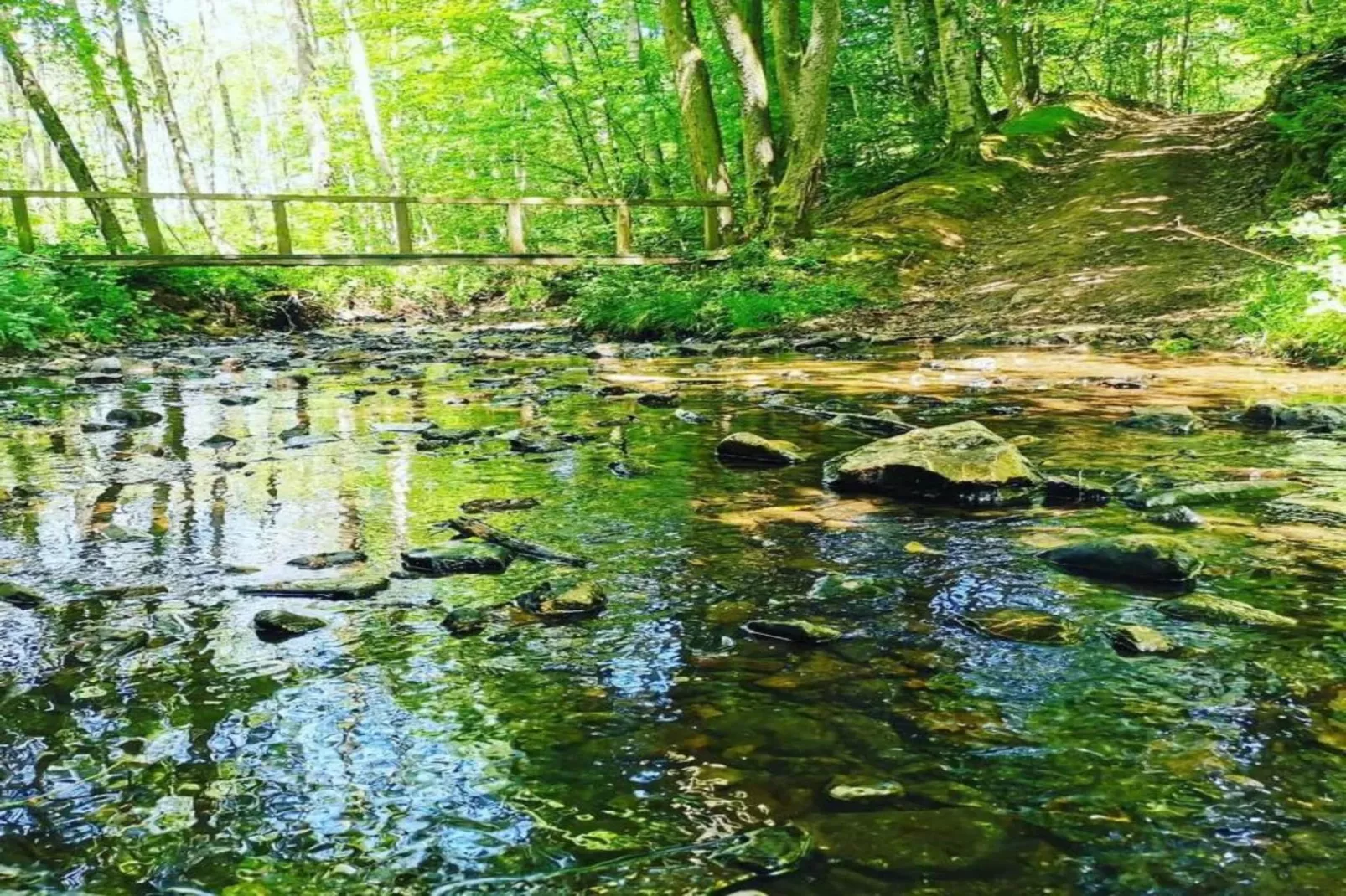 Verblijfpark Ardinam 1-Areas within 20km in summer