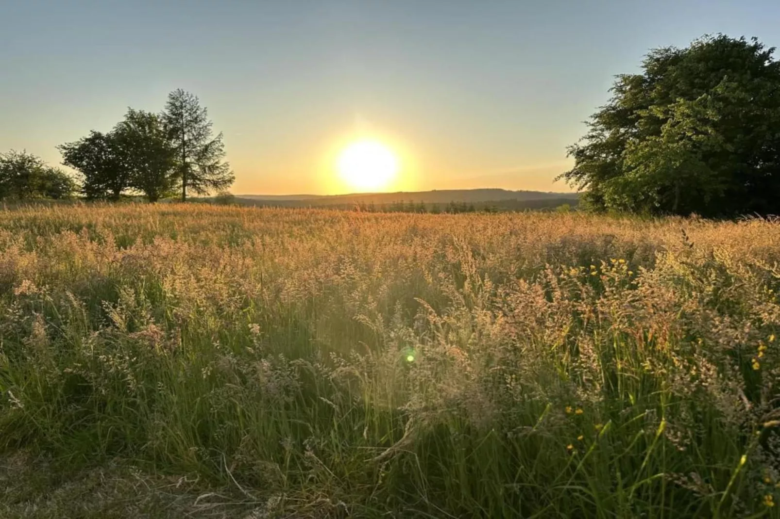 Petit Wilogne-Areas within 5km in summer