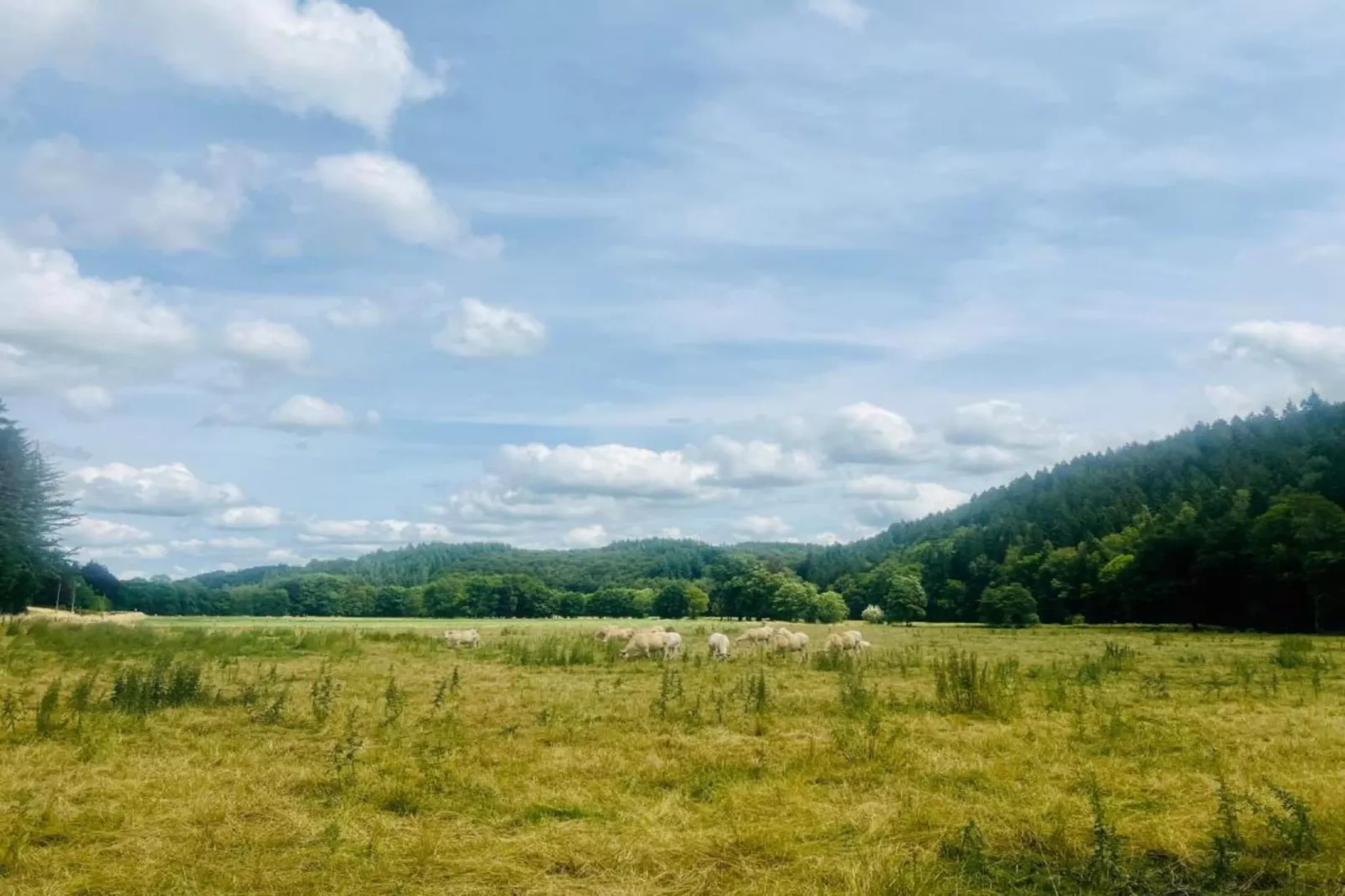 La Hetraie-Zones été à 20 km