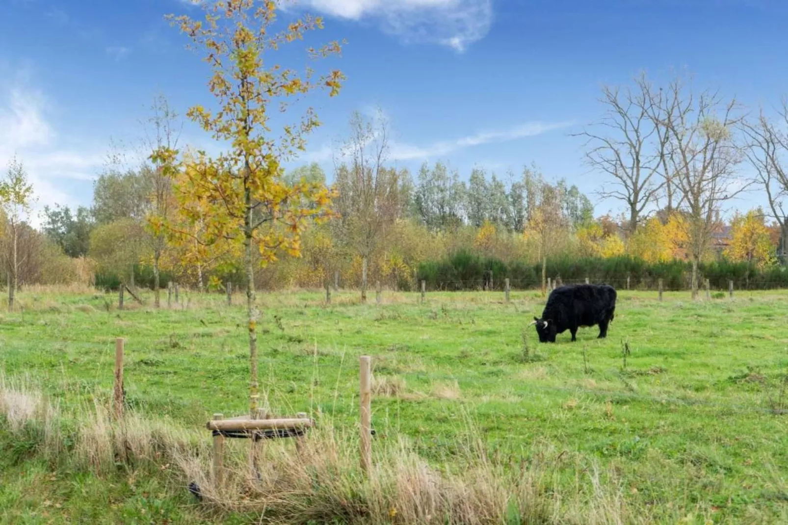 Casteeldoorn-Areas within 20km in summer