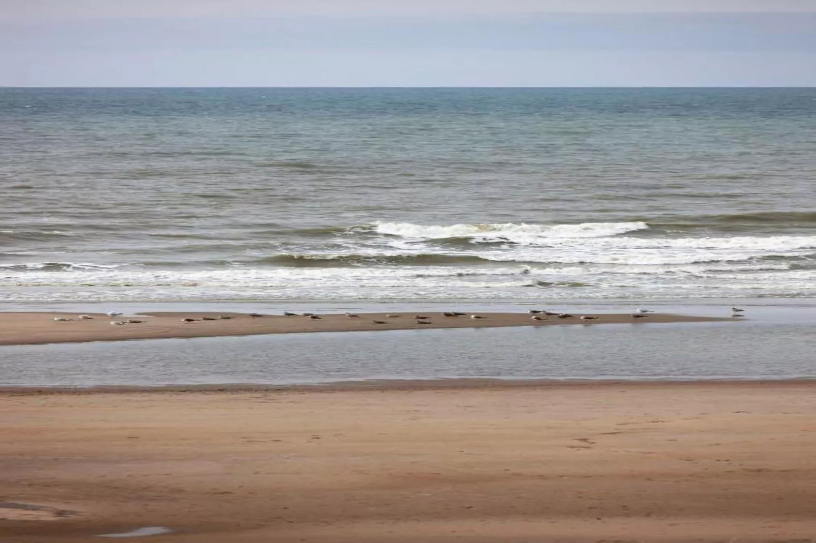 Residentie Shamrock Bianca-Areas within 20km in summer