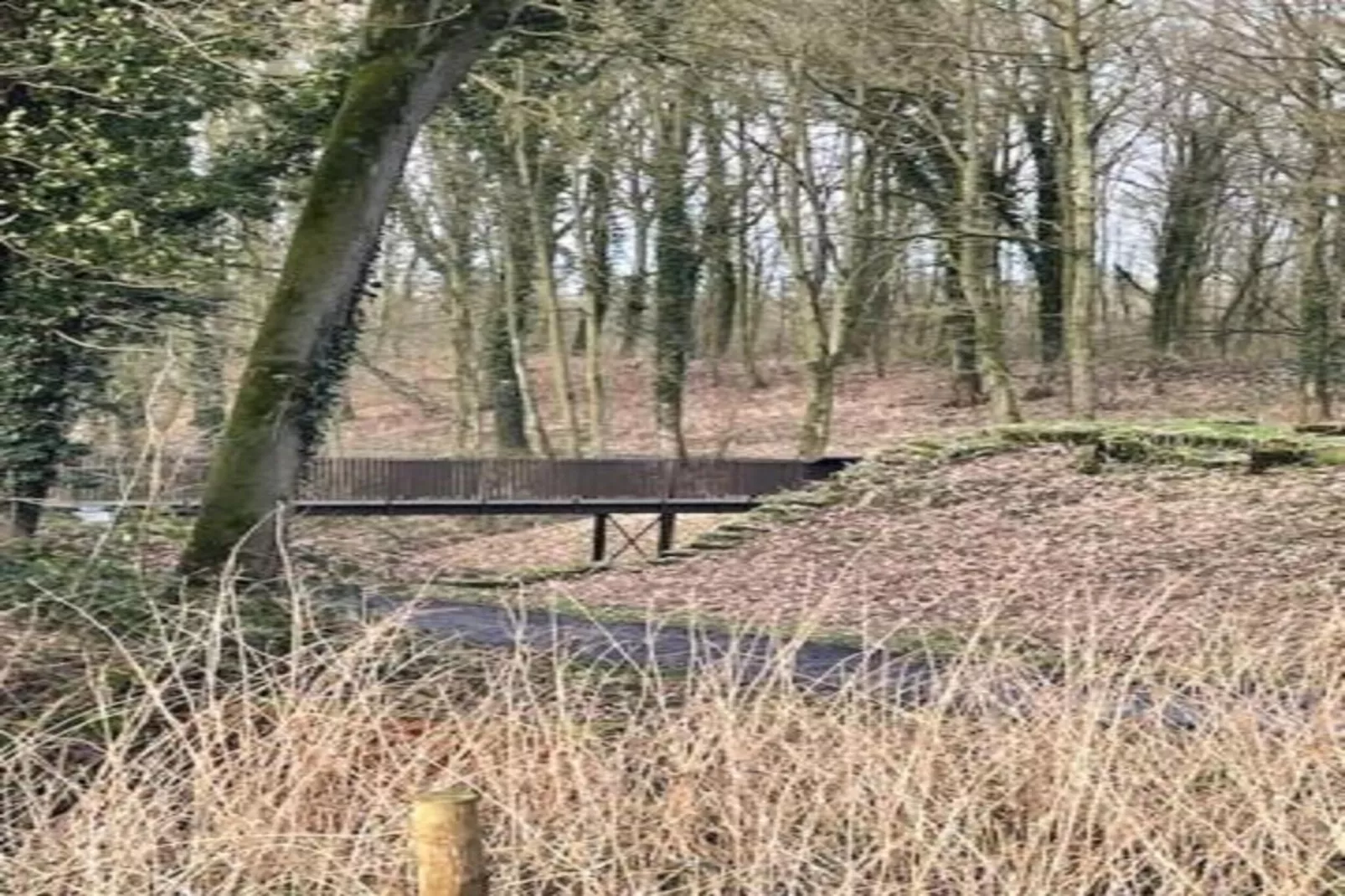 Hommelhove-Areas within 20km in summer
