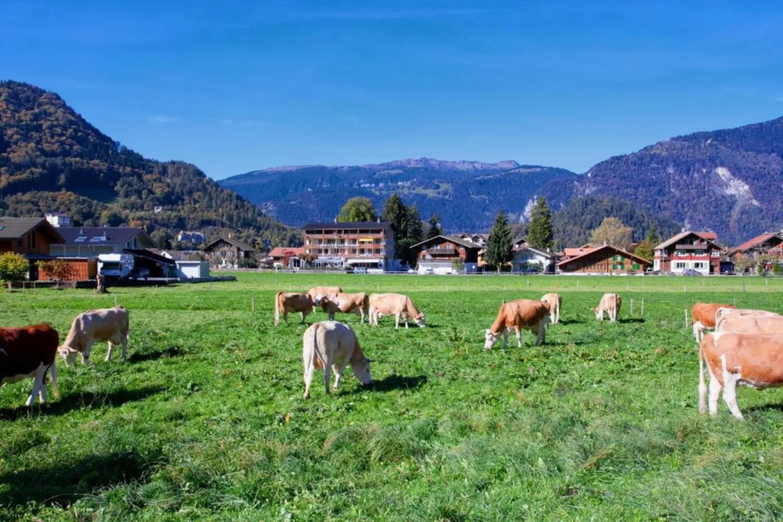 Haus Zumbrunn-Areas within 20km in summer