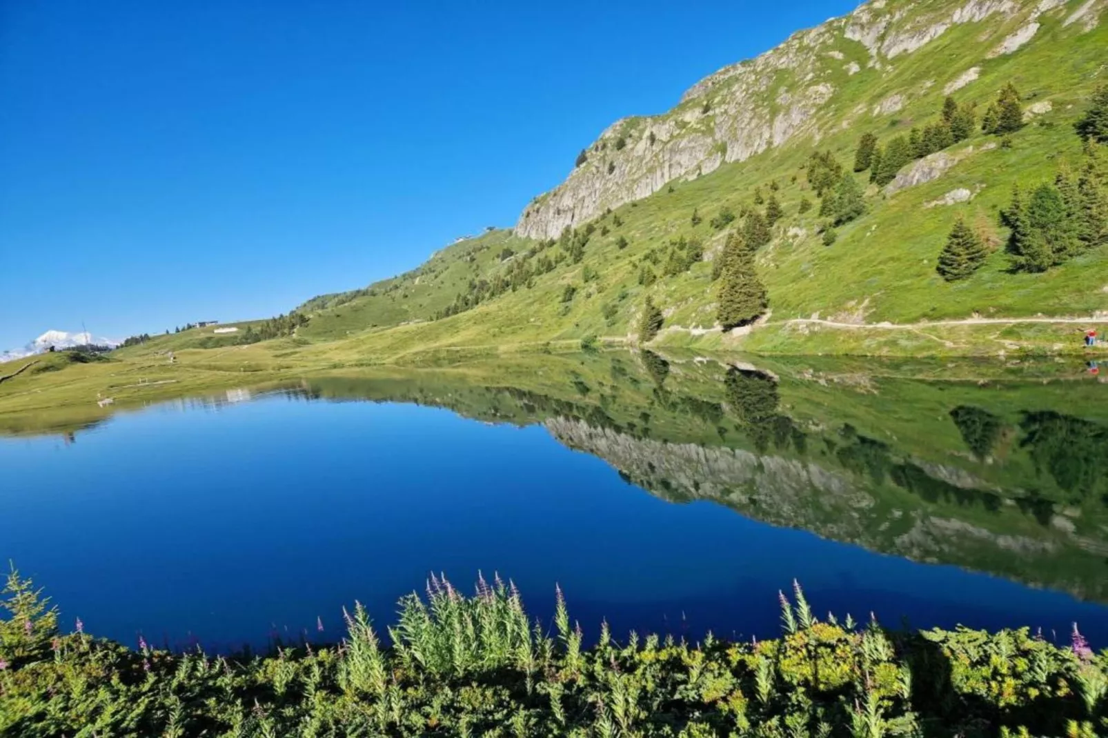 Chalet Edge-Areas within 5km in summer