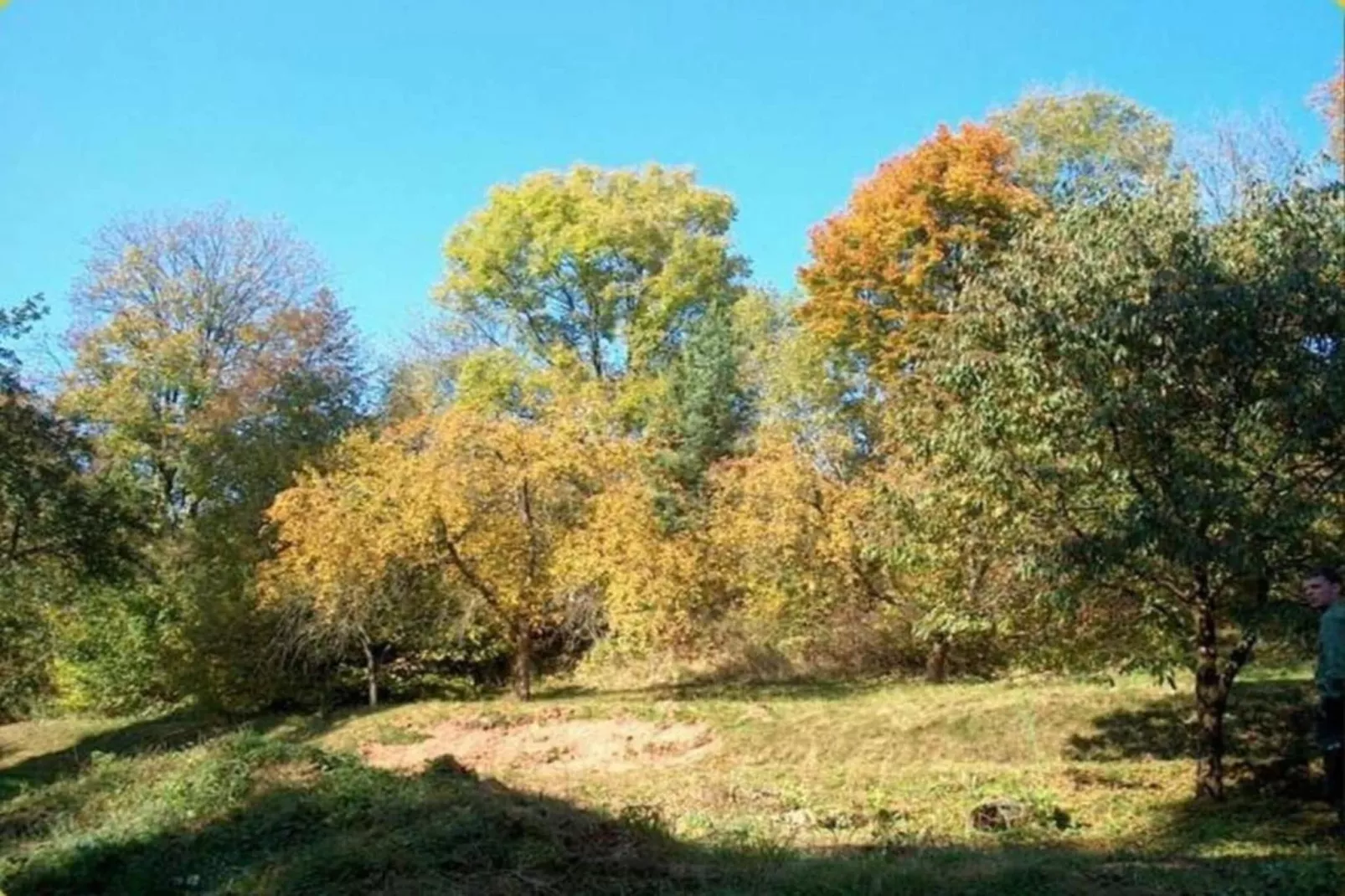 Pereboom-Areas within 5km in summer