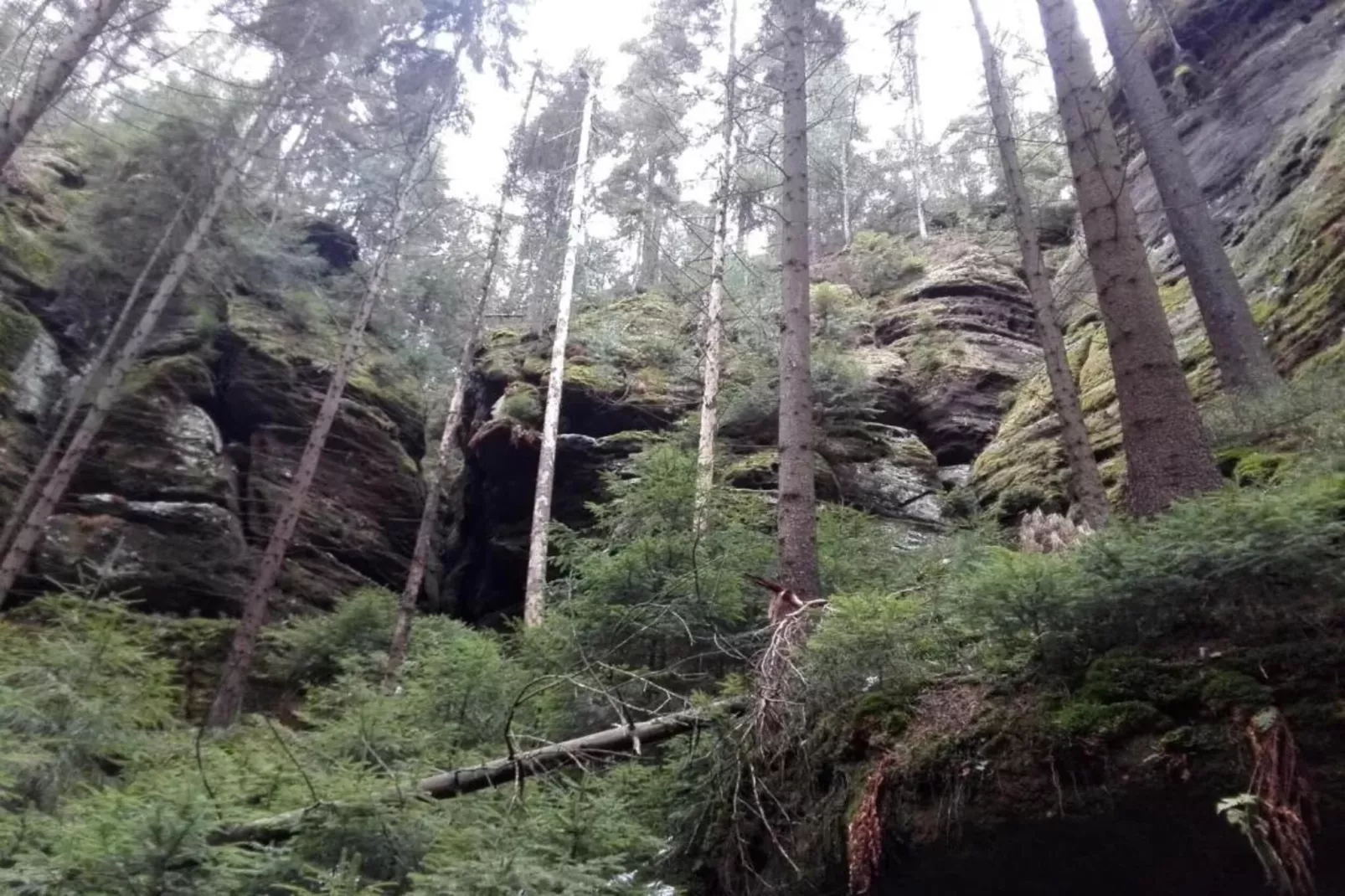 Barbora-Areas within 5km in summer