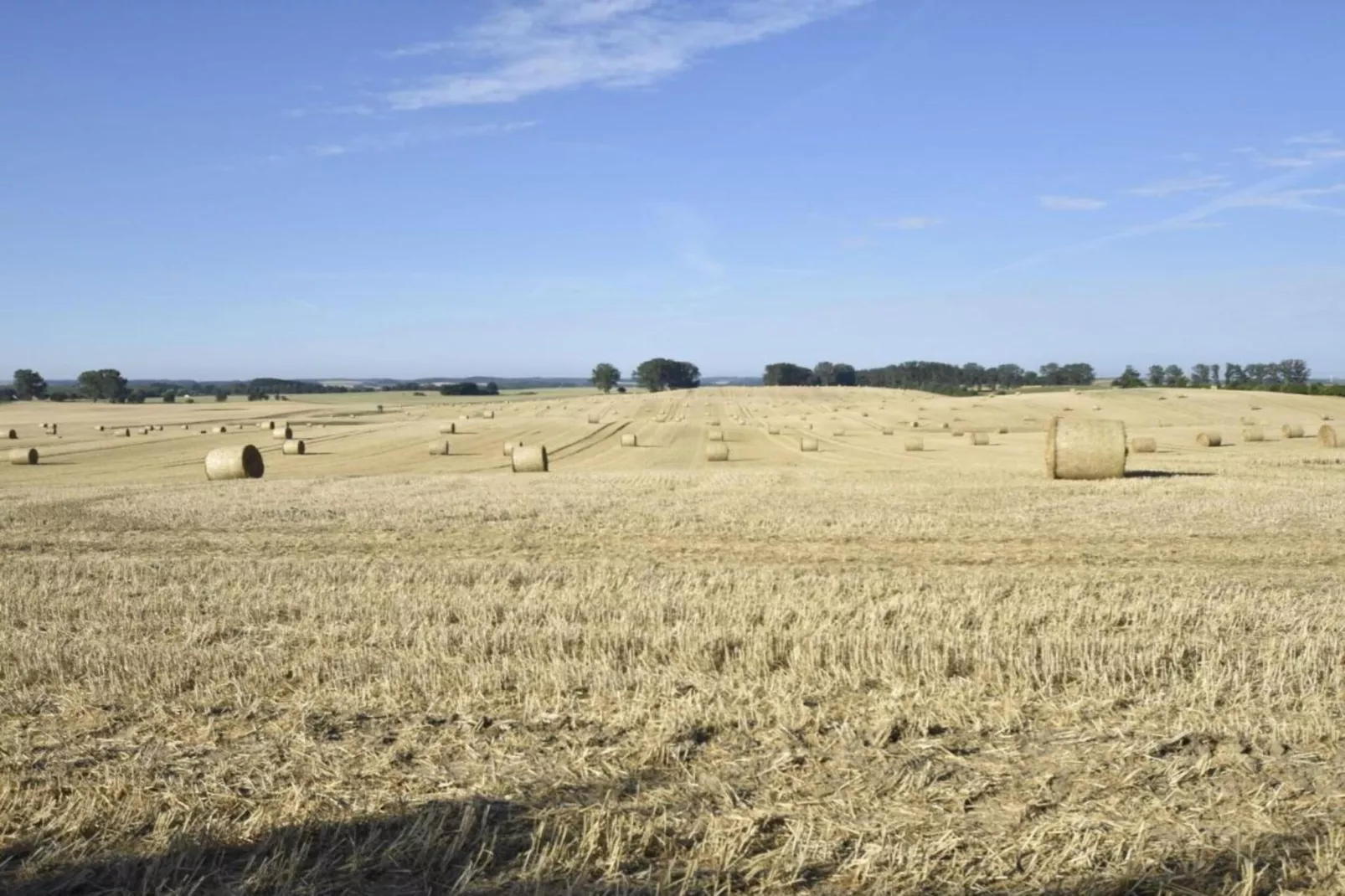 Ferienwohnung mit Koppelblick-Areas within 20km in summer