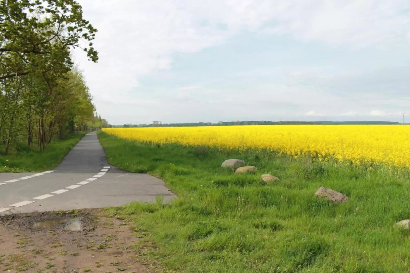 Gartenblick bei Gerdshagen-Areas within 20km in summer