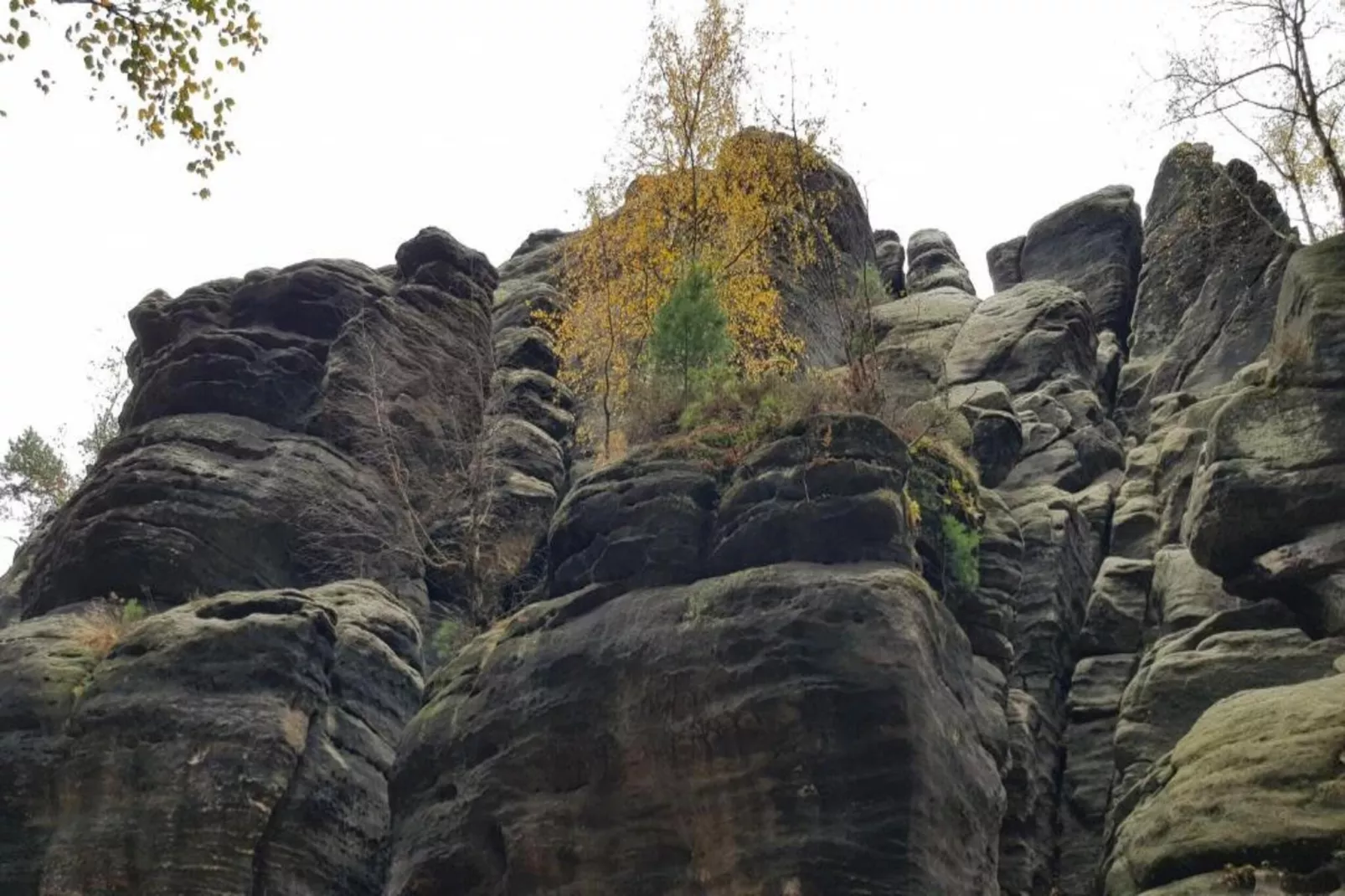 Baerenstein-Areas within 5km in summer