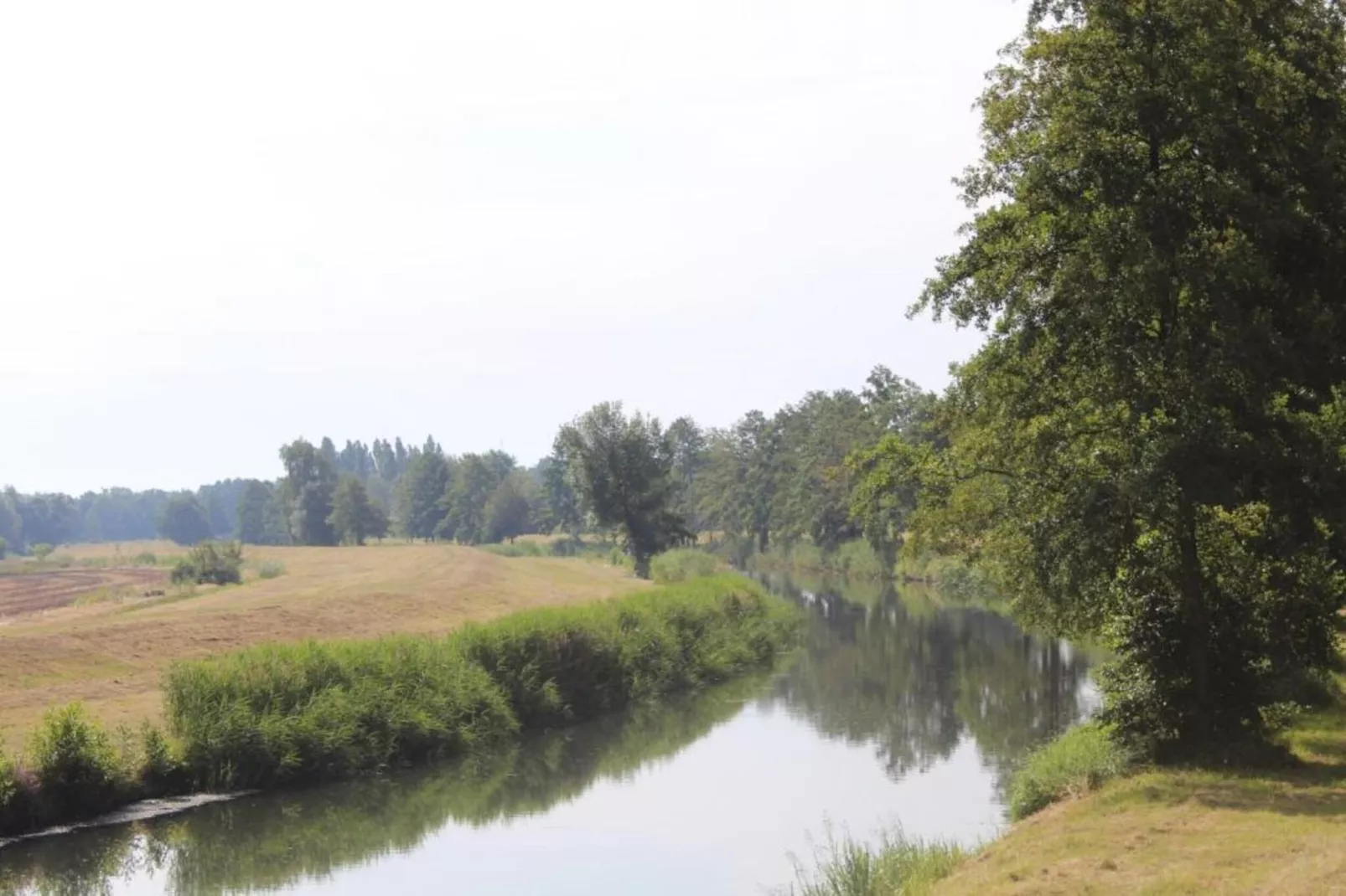 Ferienhaus Lausch-Areas within 5km in summer