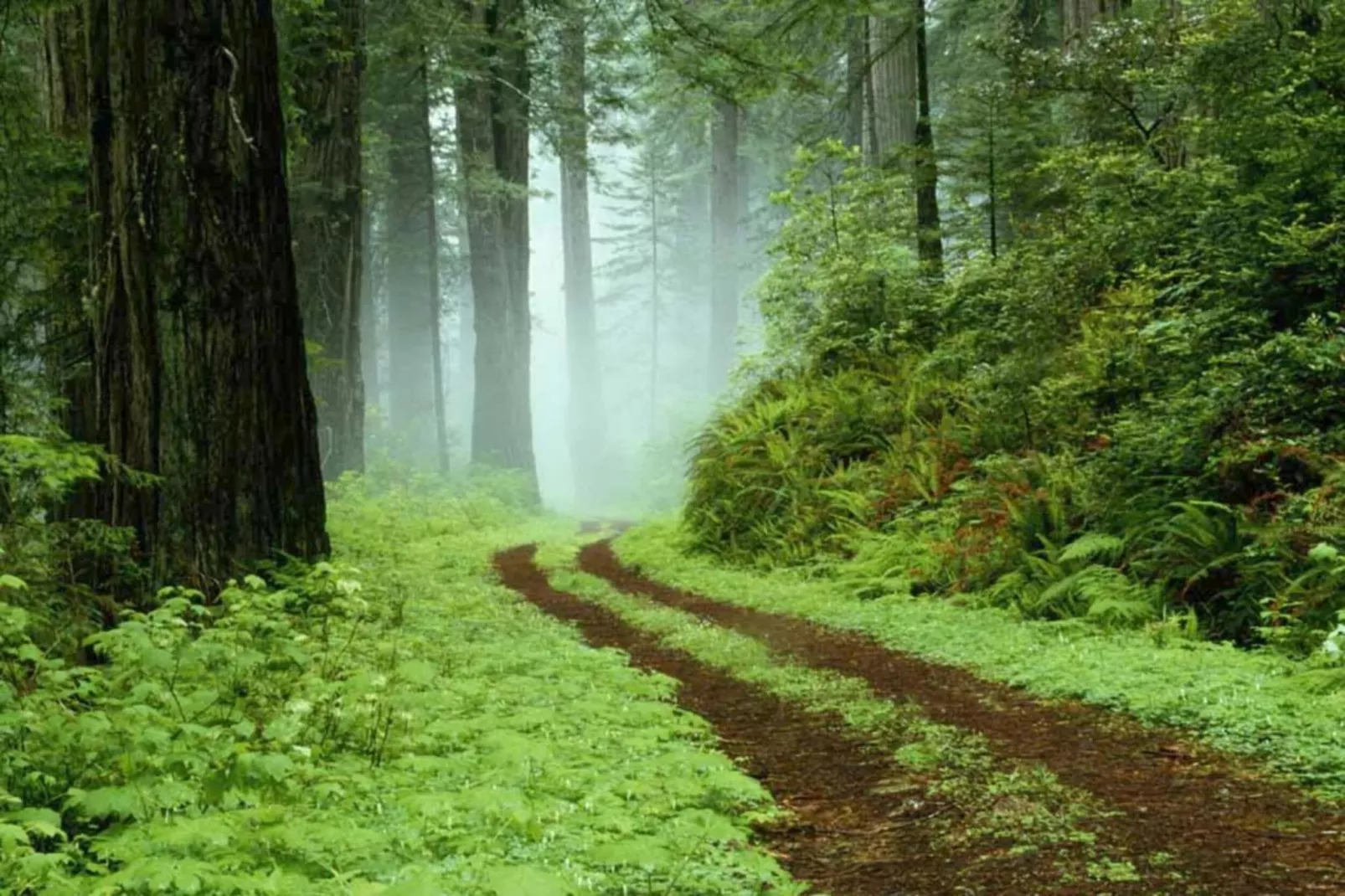 Vogtland-Areas within 20km in summer