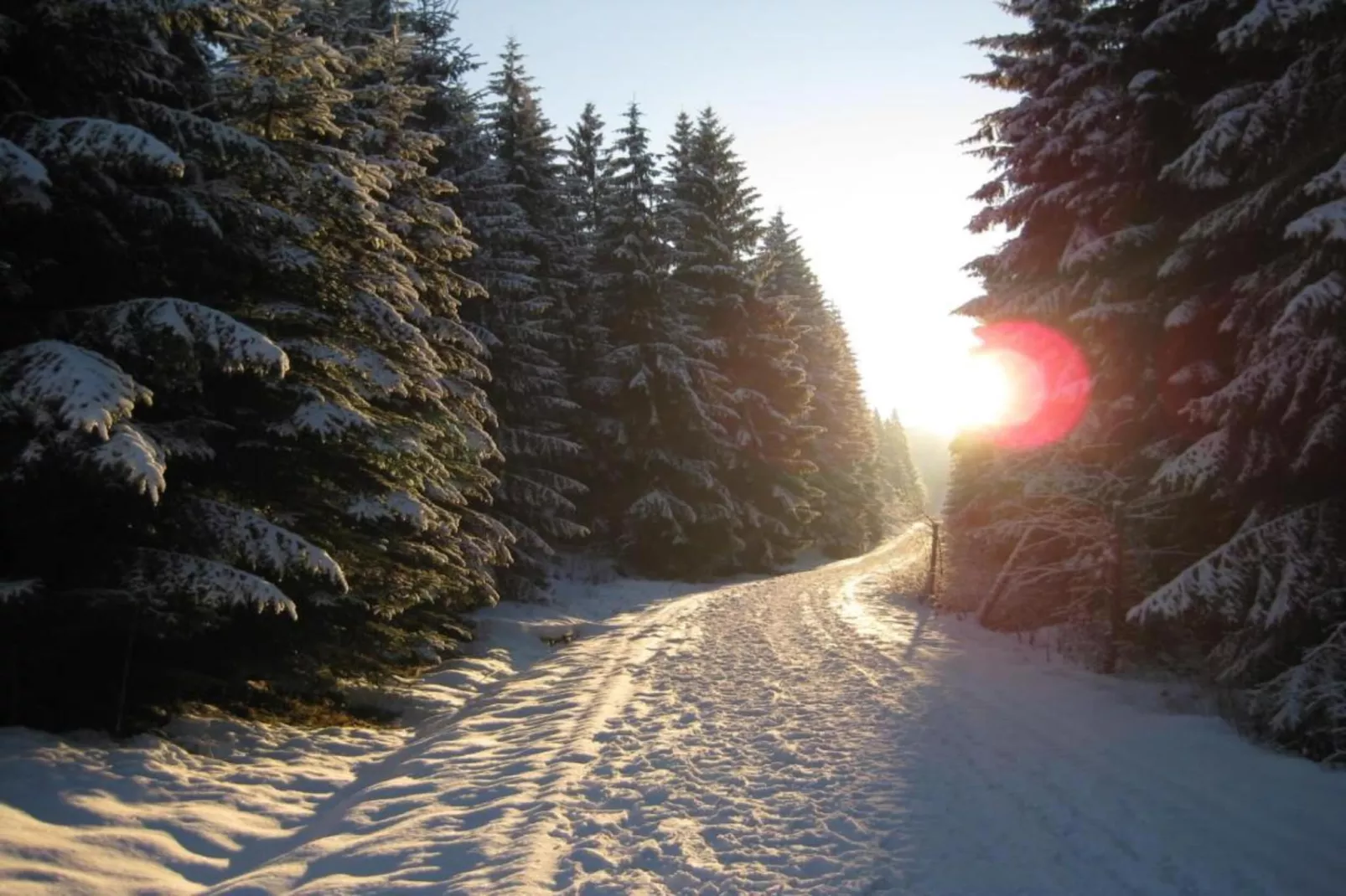 Rittersgrün-Area within 20km in winter