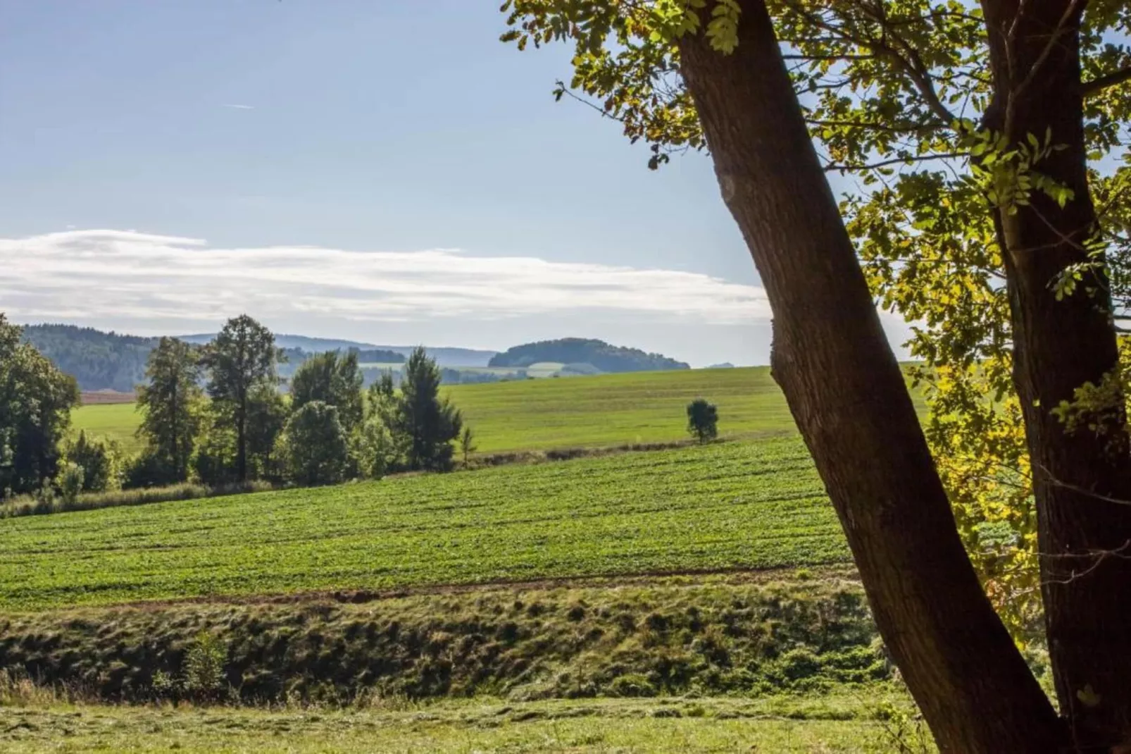 Im Erzgebirge-Areas within 20km in summer
