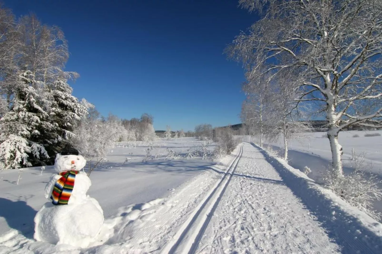 Im Erzgebirge-Zones hiver à 20 km