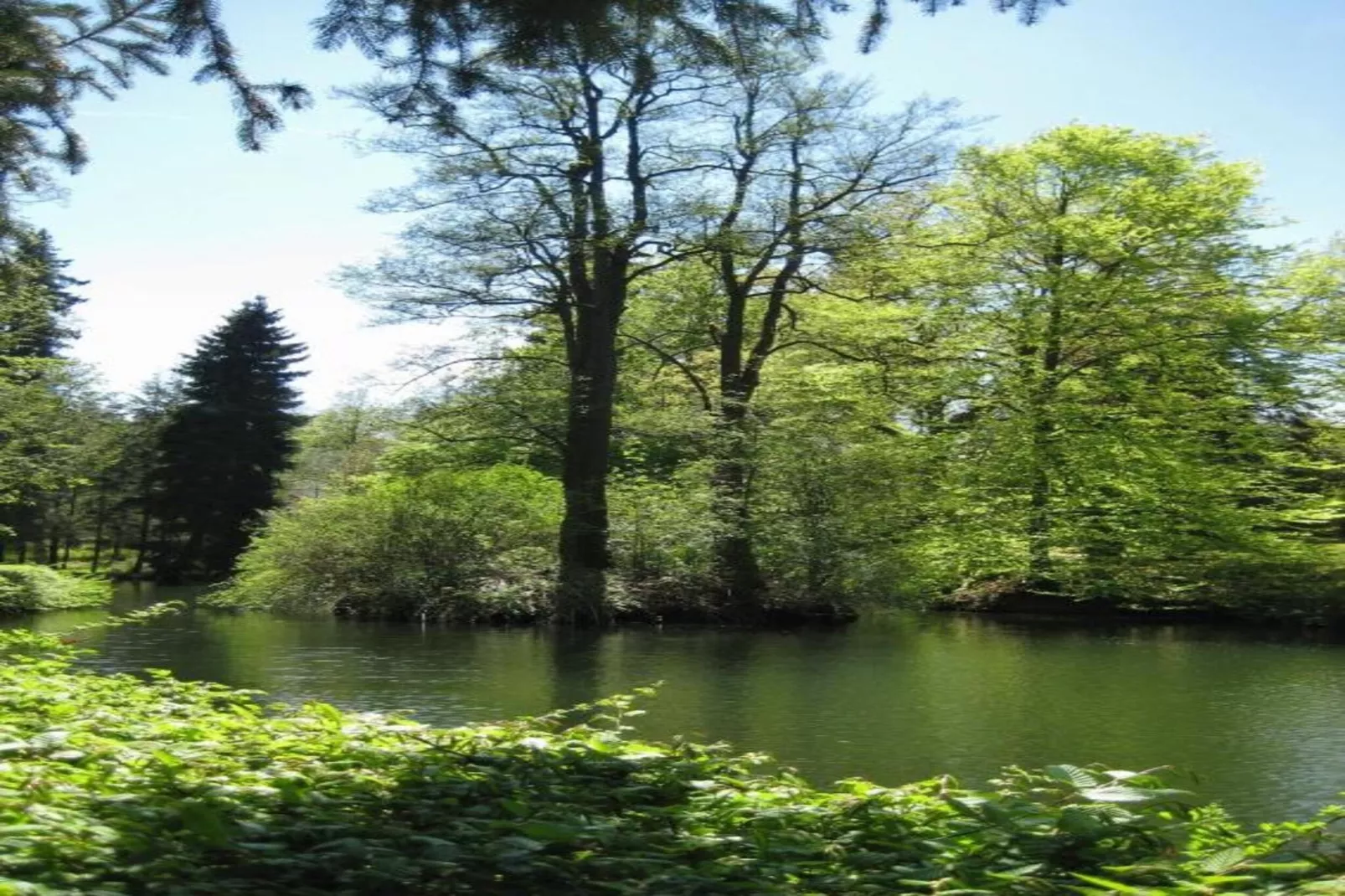 Bad Elster-Gebiete Sommer 20 km