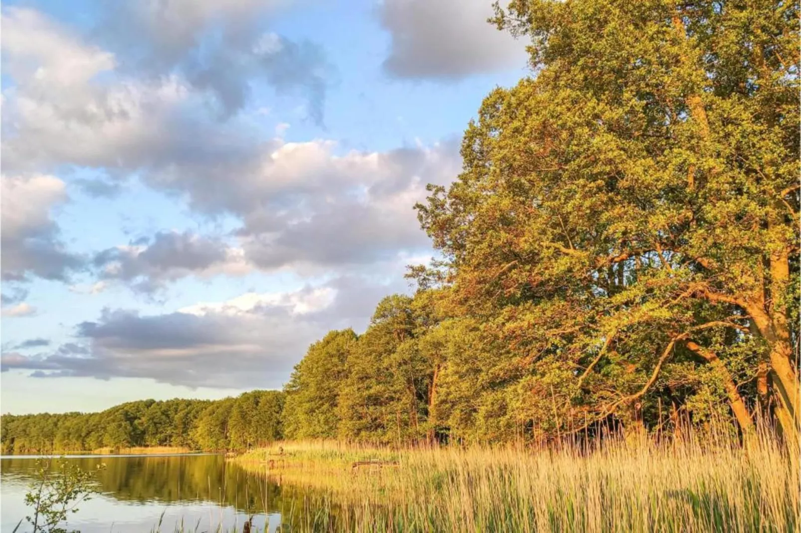Ferienhaus Ahlbeck am Haff - Schlafen unter Reet / 2-Areas within 20km in summer