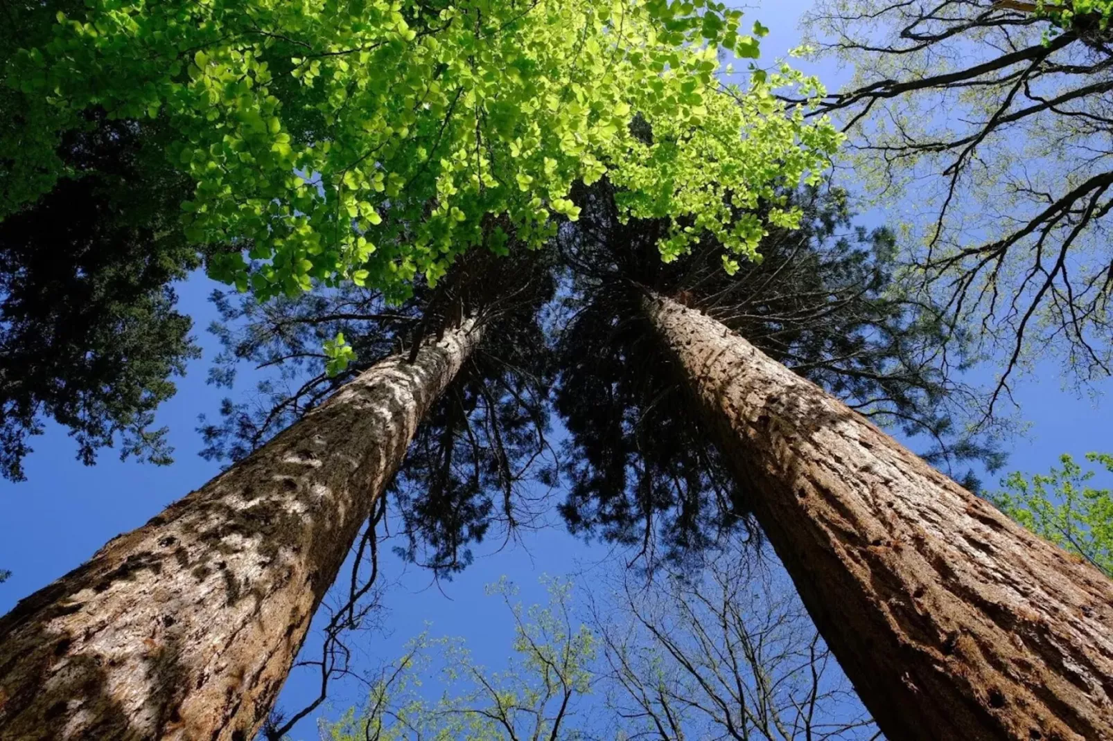 Chalet - 3 Personen-Areas within 20km in summer