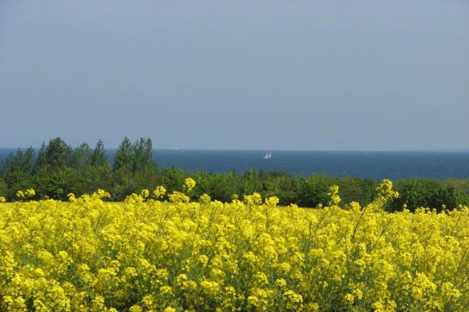 Urlaub vor den Toren der Hansestadt Wismar-Gebiete Sommer 5 km