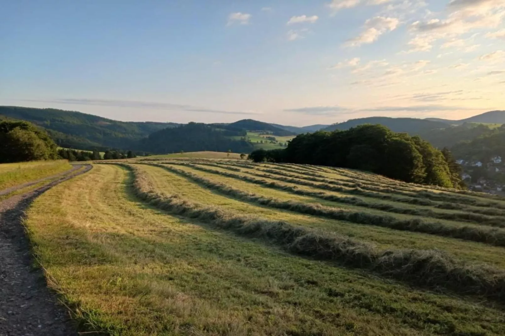 Barbara-Zones été à 20 km