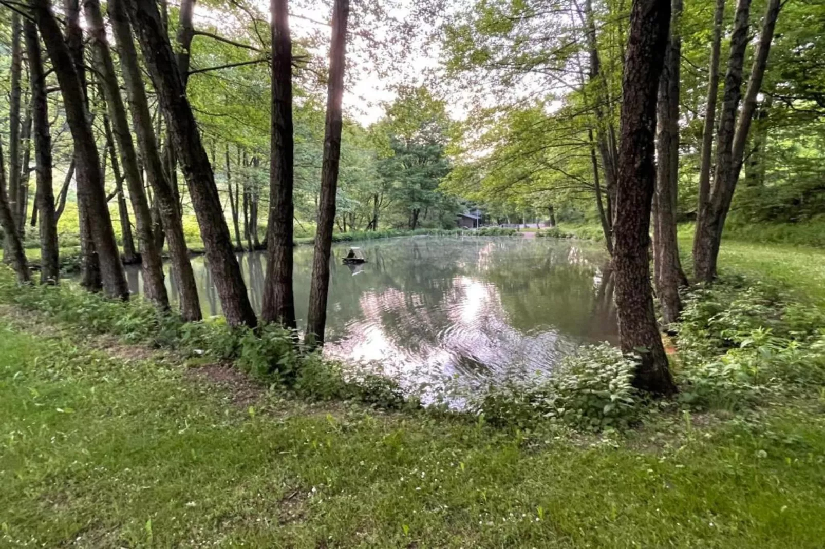 Brouwer Ferienhaus-Areas within 5km in summer
