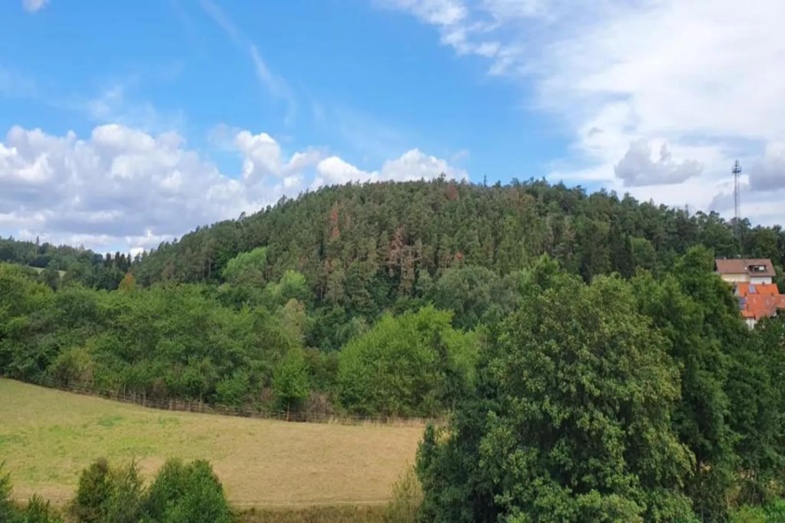 Haus Knoche-Gebiete Sommer 20 km