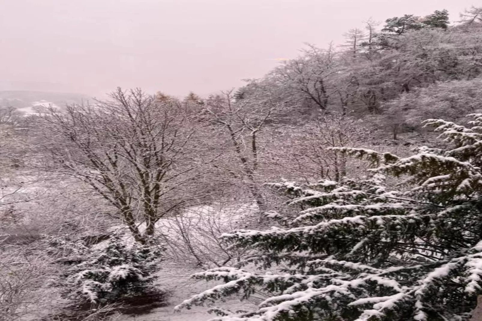 Sauerland-Area within 20km in winter