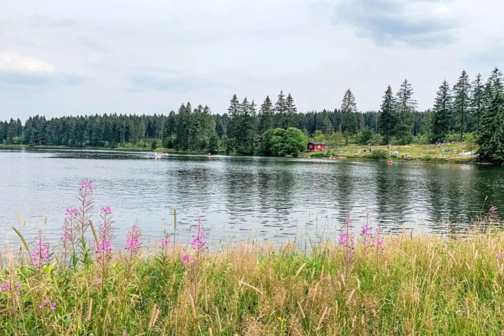 Kamschlacken-Areas within 5km in summer