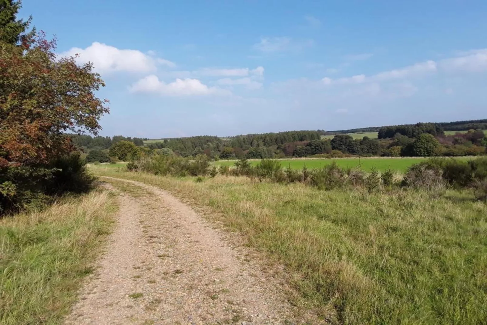 Morsbacher Hof III-Gebiete Sommer 20 km