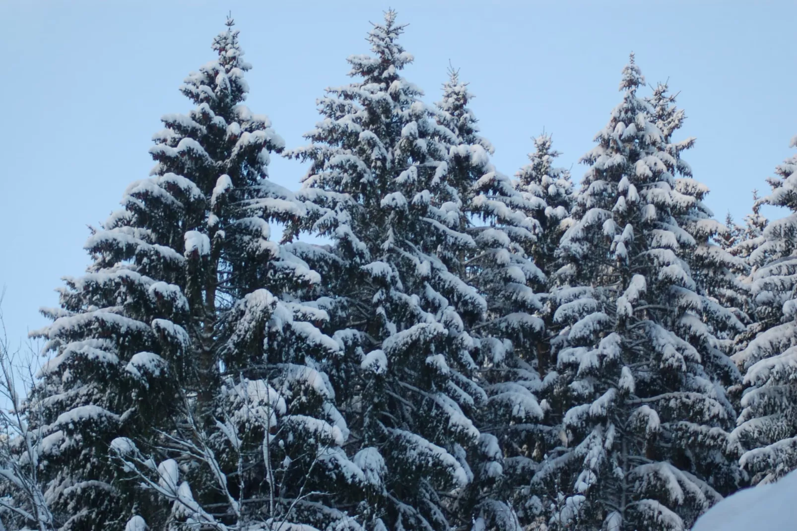 Am Grünen Wald-Area within 5km in winter