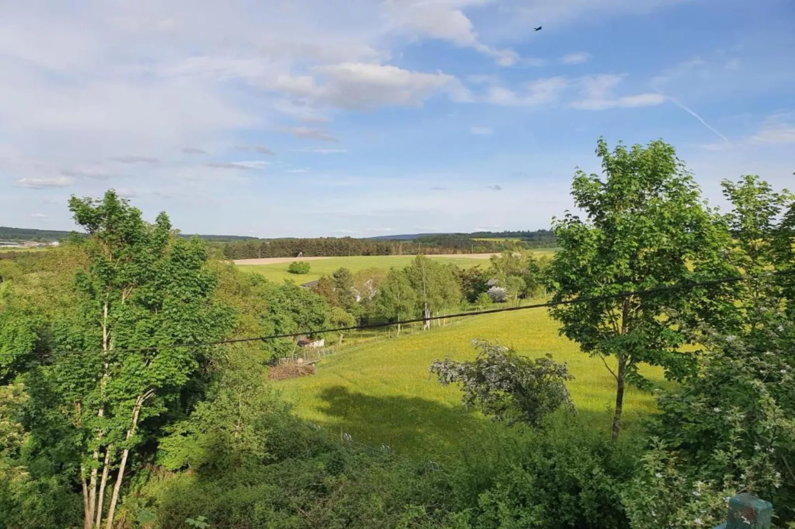 Pilmer 20-Areas within 20km in summer